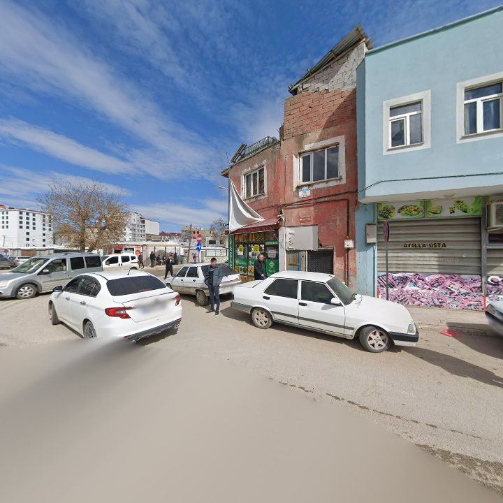 Fotoğraf 10