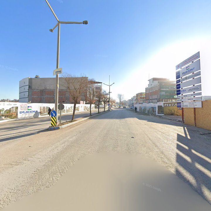 Fotoğraf 11