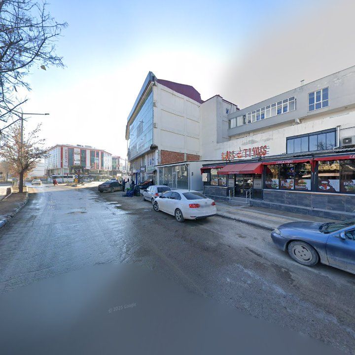 Fotoğraf 9