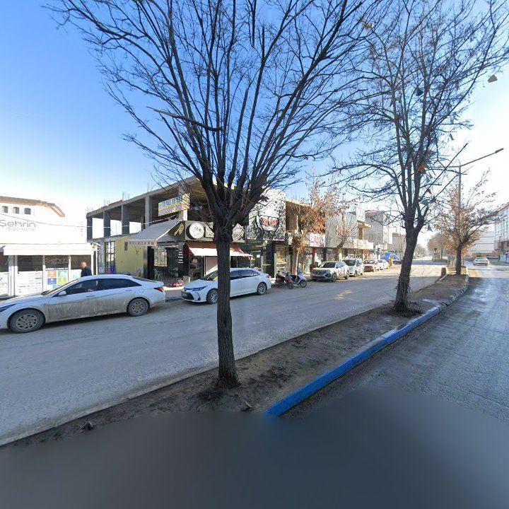 Fotoğraf 8