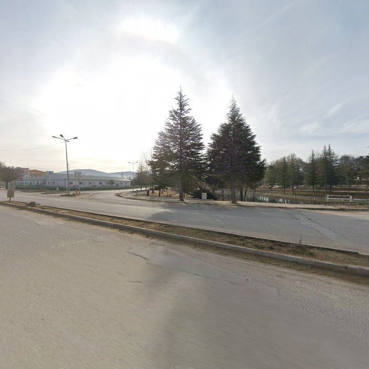 Fotoğraf 10