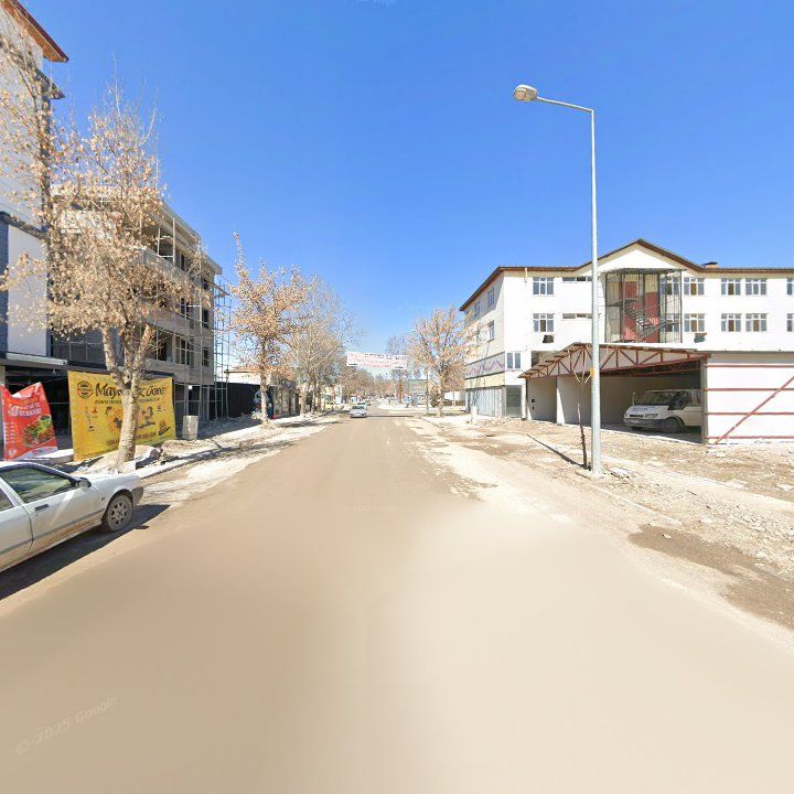 Fotoğraf 7