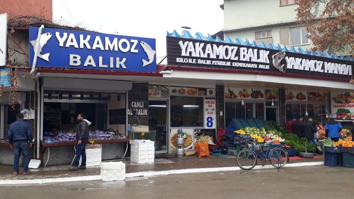 Fotoğraf 6