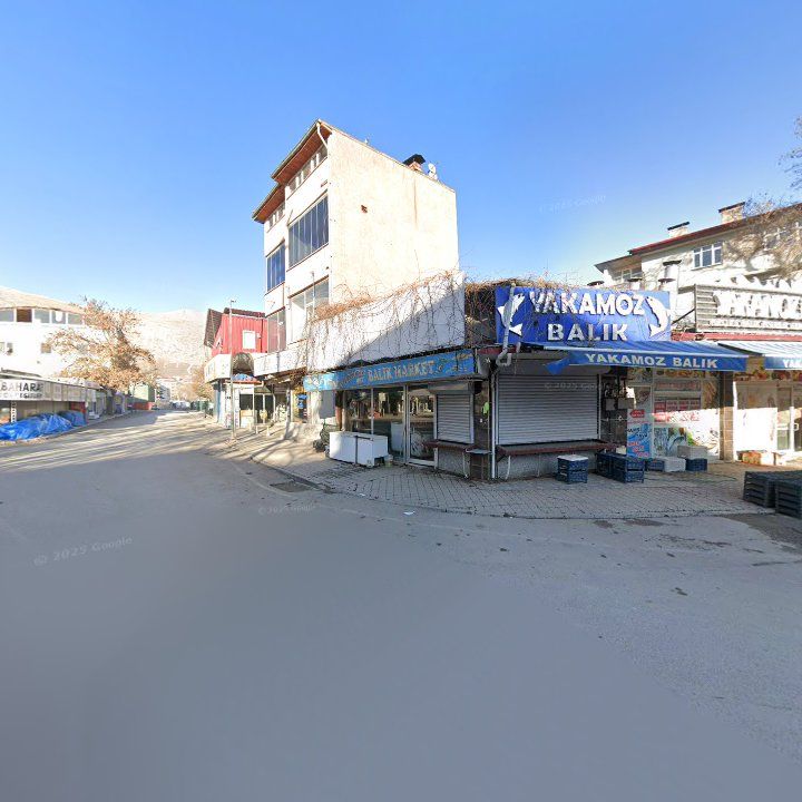 Fotoğraf 10