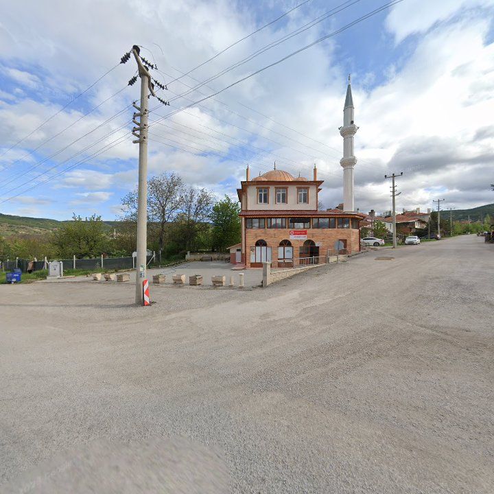 Fotoğraf 3