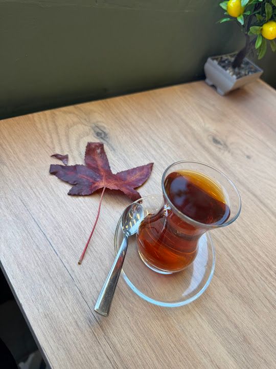 Yorum fotoğrafı 2