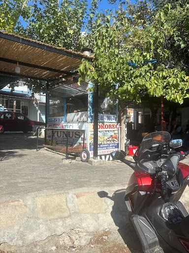 Fotoğraf 12