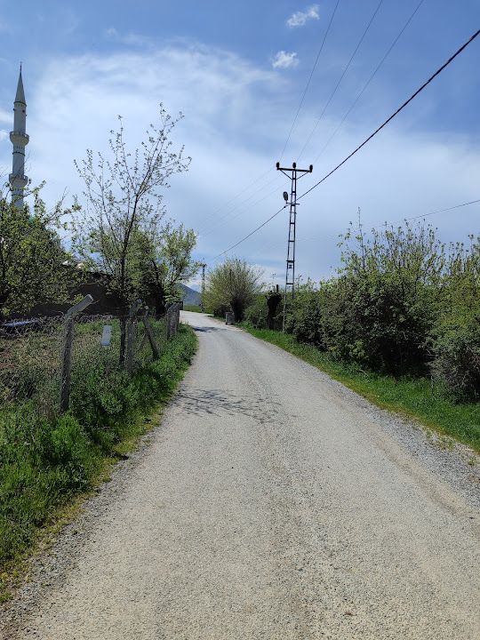 Yorum fotoğrafı 3