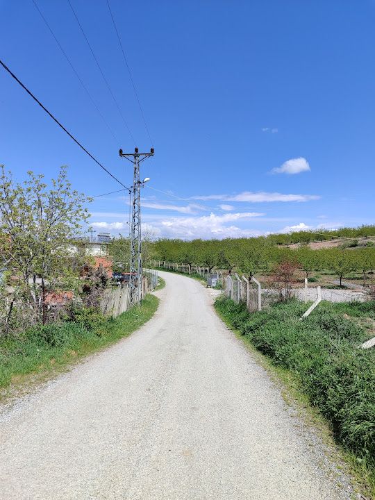 Yorum fotoğrafı 2