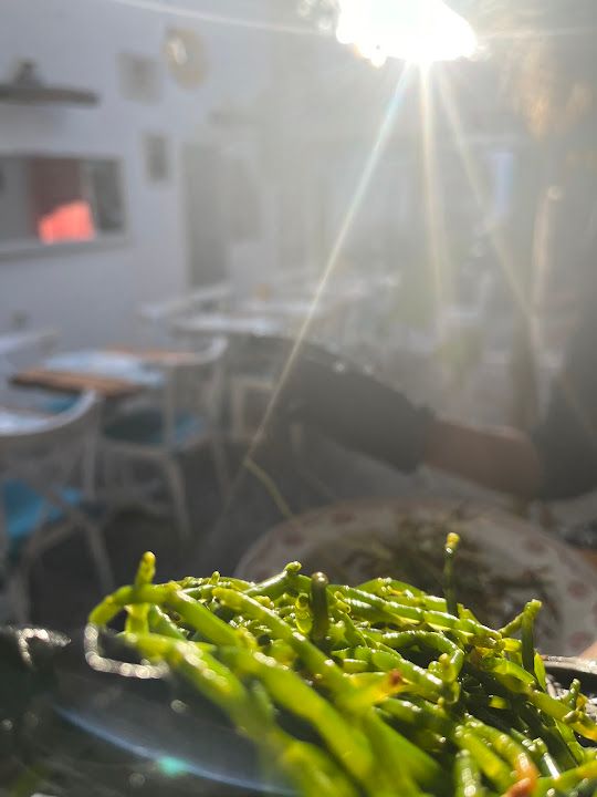Fotoğraf 24
