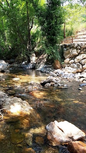 Yorum fotoğrafı 4