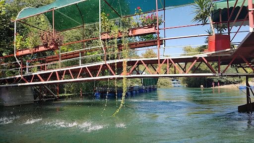 Yorum fotoğrafı 7