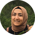 elif celik