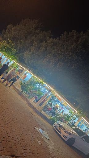 Fotoğraf 13