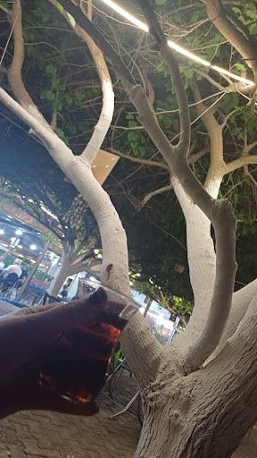 Fotoğraf 14