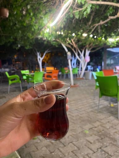 Fotoğraf 15
