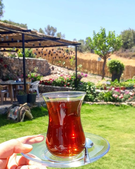 Fotoğraf 27