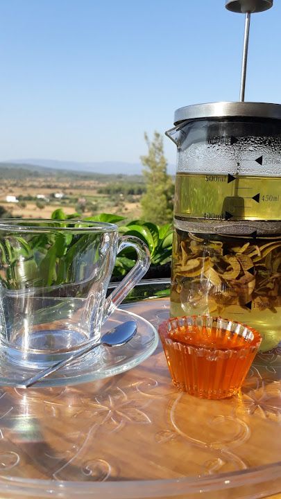 Fotoğraf 21