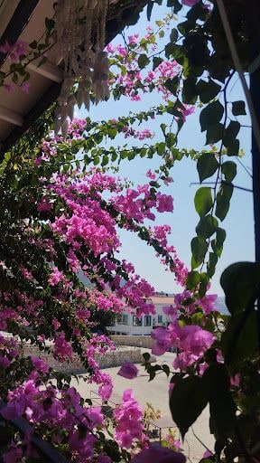 Yorum fotoğrafı 7