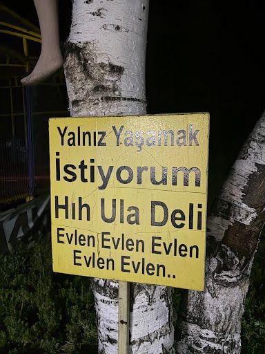 Yorum fotoğrafı 4