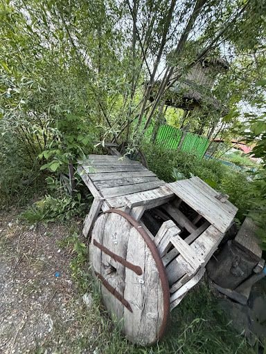 Yorum fotoğrafı 9