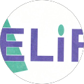 ELİF PETROL