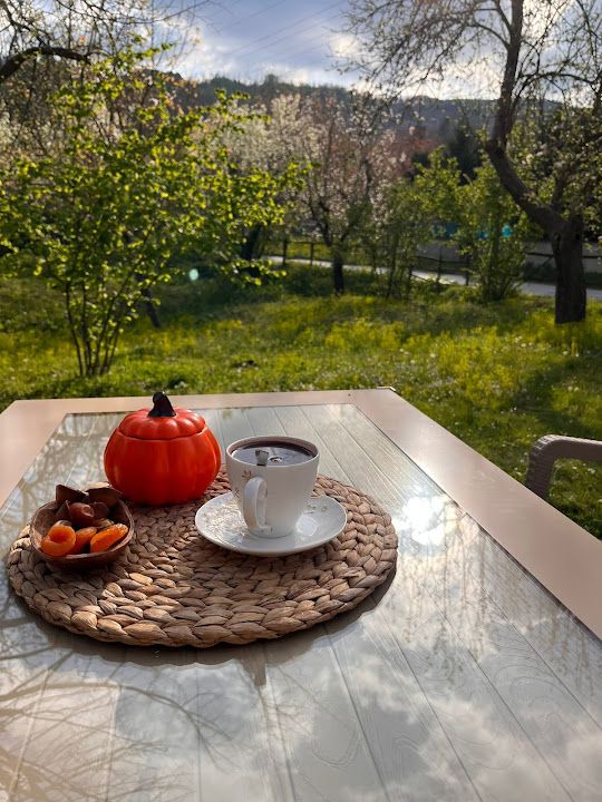Fotoğraf 23