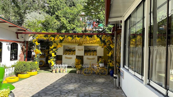 Fotoğraf 60
