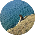 Elife Tuncel