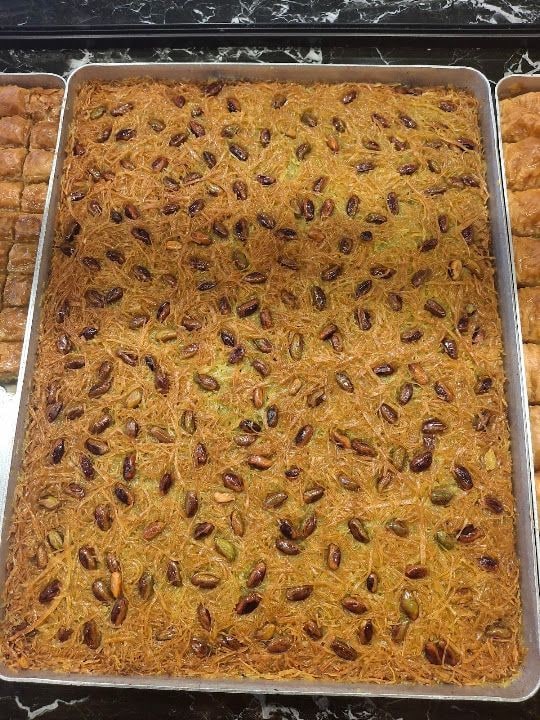 Fotoğraf 14