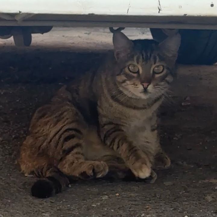 Fotoğraf 15