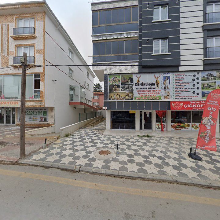 Fotoğraf 3