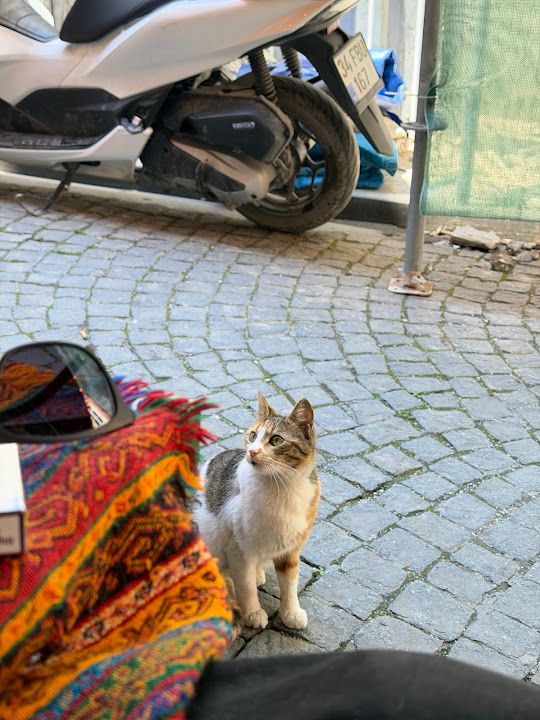 Fotoğraf 17