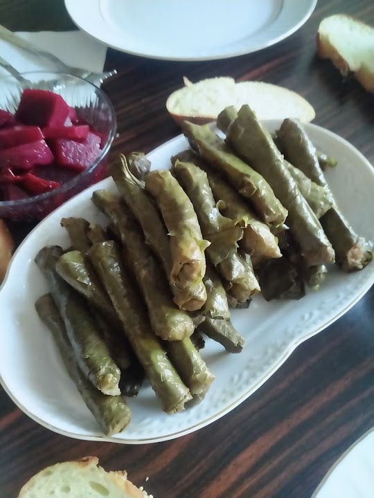 Fotoğraf 15
