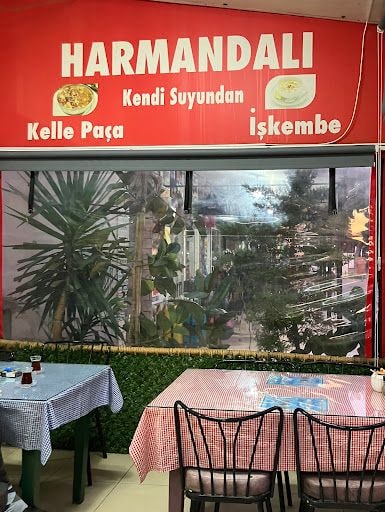 Fotoğraf 25