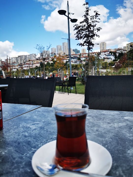 Fotoğraf 15