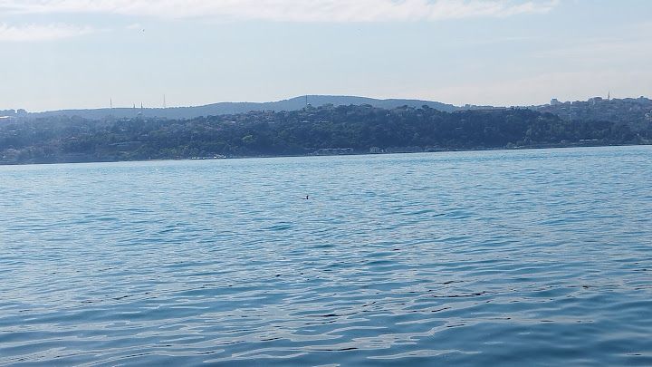 Fotoğraf 35