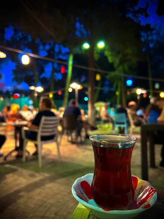 Fotoğraf 15