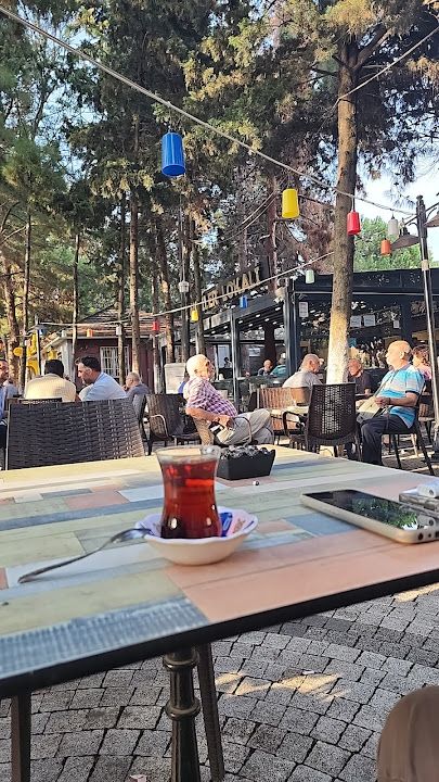 Yorum fotoğrafı 1