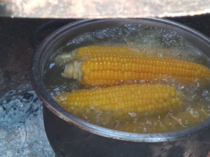Fotoğraf 12