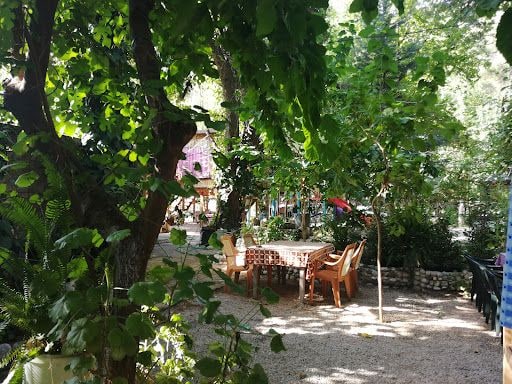 Yorum fotoğrafı 7