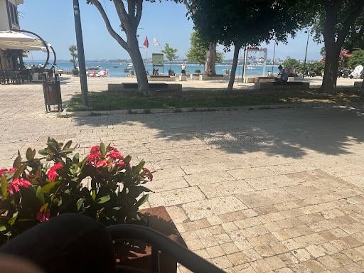 Yorum fotoğrafı 2