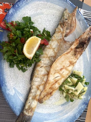 Fotoğraf 14