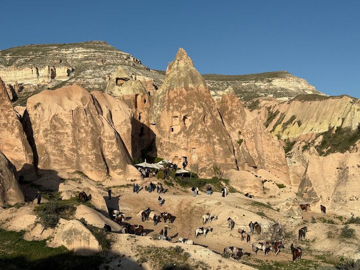 Fotoğraf 19