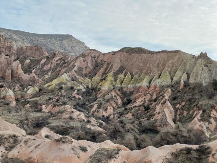 Fotoğraf 36