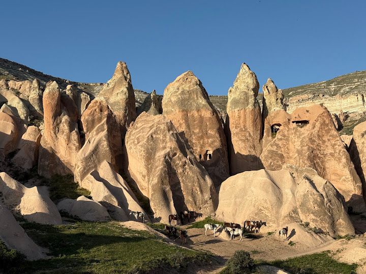 Fotoğraf 20