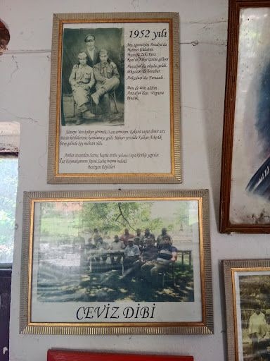 Yorum fotoğrafı 7