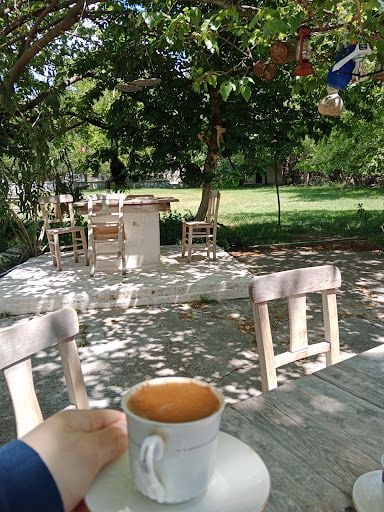 Yorum fotoğrafı 9