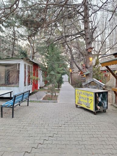 Yorum fotoğrafı 6