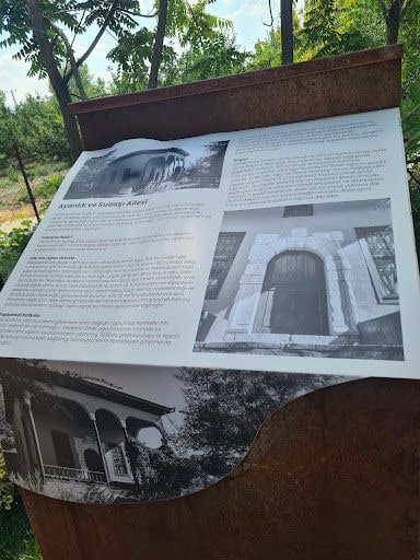Yorum fotoğrafı 7